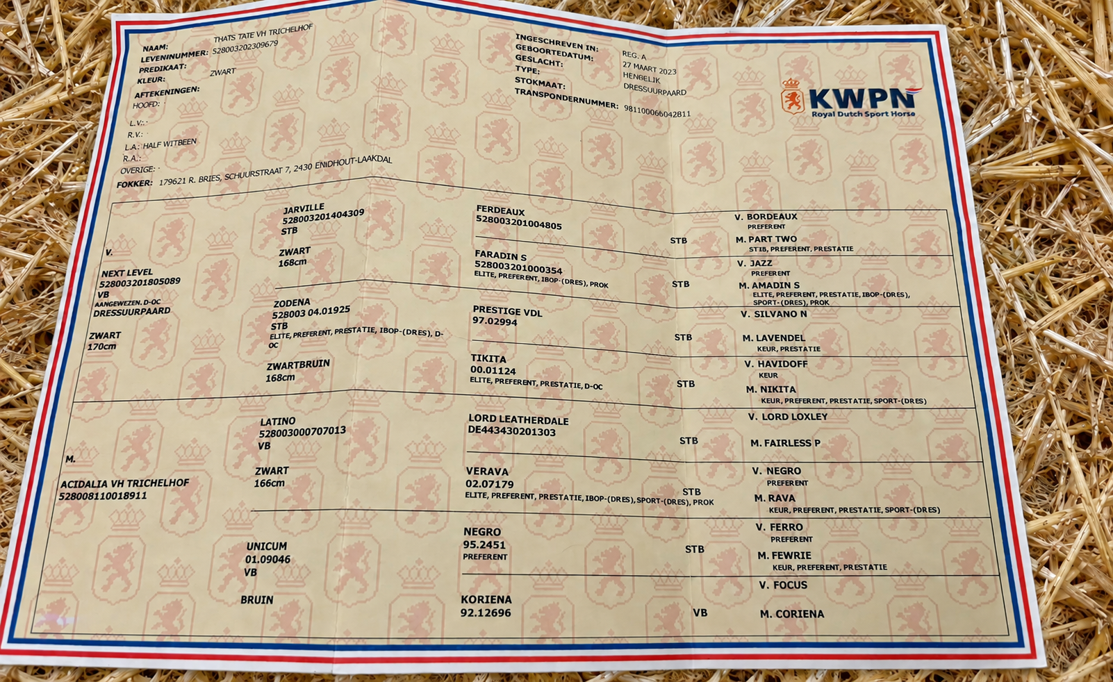 KWPN-Abstammungsnachweis